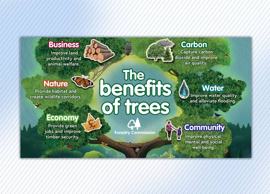 Forestry Commission 'the benefits of trees' infographic